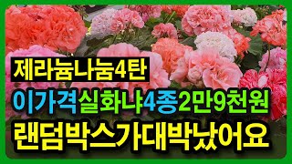 구독자님께 드리는 선물💛랜덤박스 나눔 이벤트4탄📦이 가격에 너무 좋은데?!🎁이번엔 진짜 대박?!🎁