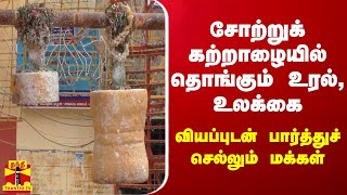 சோற்றுக் கற்றாழையில் தொங்கும் உரல், உலக்கை... வியப்புடன் பார்த்துச் செல்லும் மக்கள்