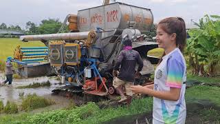 สาวนุ่นพามาชมเจ้าปานเจริญเกี่ยวข้าวนาปรัง combine harvester