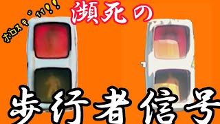 交通信号篇26【信号機(更新済み)】なに点灯しているのかわからない弁当箱灯器　大阪府古信号機　大阪府岸和田市