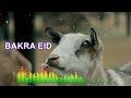 o bakra ringtone