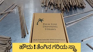 Eco Friendly coconut leaves Straw