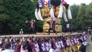 下郷太鼓台＆又野太鼓台　新居浜太鼓祭り2016　八幡神社　【４Ｋ】