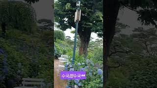 베이커리 카페 공,간~~수국축제.청주