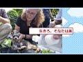 売ってはいけない相手に喧嘩をうってしまったレッサーパンダさん、発見されるｗ【2ch動物スレ】