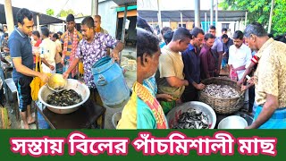 খুবই কম দামে বিলের পাঁচমিশালী ছোট মাছ/Tora Fish Market