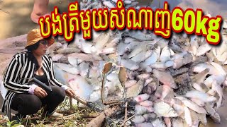 បង់ត្រីមួយសំណាញ់60គីឡូ Nets Fish