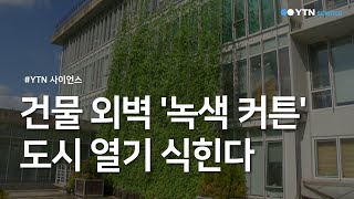 건물 외벽 '녹색 커튼'...도시 열기 식힌다 / YTN 사이언스