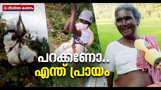 ഒരേ പൊളി!! ആകാശയാത്ര നടത്തി വൈറലായി പാറു അമ്മ | Paru Amma Zipline Ride