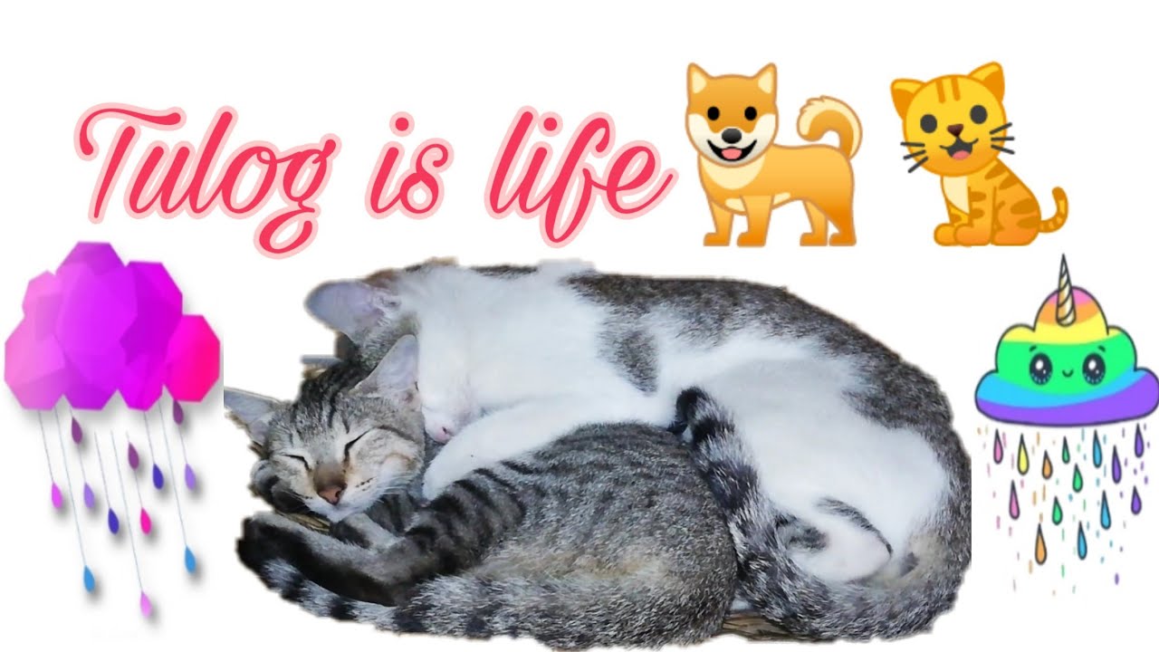 Tulog Is Lifeрџђ рџђ Youtube
