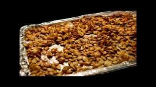 How to Roast Pumpkin Seeds (Pepitas) Make Roasted Pumpkin Seeds