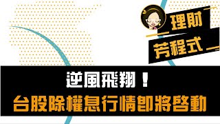 逆風飛翔！台股除權息行情即將啟動｜理財芳程式｜Anue鉅亨