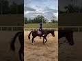 Diinaa’s Riding horse class - session 4