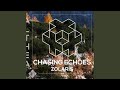 Chasing Echoes
