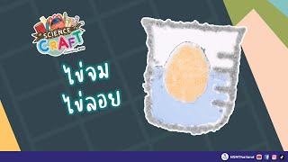 ไข่จม ไข่ลอย | Science Craft