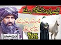 Imam Mahdi Ki Bait Karne Wale Hussaini || Dr Suleman Misbahi || Ali 4k Video