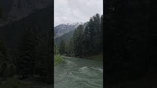 Mini Switzerland | Betaab valley | Pahalgam #shorts #shortsfeed # travel #kashmir #srinagar #valley