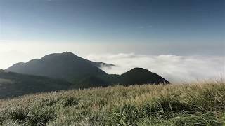 大屯山芒花雲海