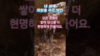 내 삶에 희망을 주는 명언 #성공 #동기부여 #좋은글 #자기계발 #인생조언