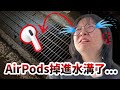 【悲劇】完了...妞妞的AirPods掉進水溝了 拯救AirPods大作戰 能成功救回來嗎?[NyoNyoTV妞妞TV]