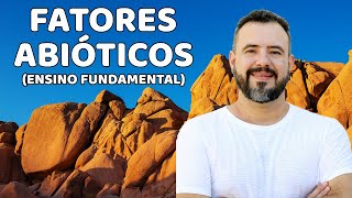 Fatores Abióticos de um Ecossistema (Ensino Fundamental)