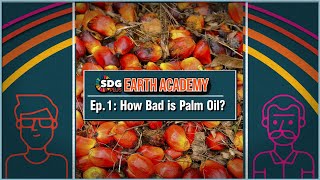 Palm Oil | How Bad is Palm Oil? | SDGPlus Podcast | Ep: 1