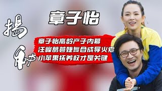 章子怡与富豪离婚后，为何会嫁给三婚的汪峰？葛荟婕说出实情