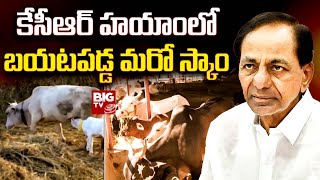 Another Scam Exposed In KCR Govt | కేసీఆర్ హయాంలో బయటపడ్డ మరో స్కాం | BIG TV