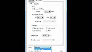 Video Capture SDK - Audio Capture Tutorial