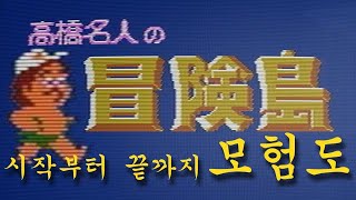 모험도 ~ 시작부터 엔딩까지~ / 타카하시명인의 모험도 / 高橋名人の冒険島 / Hudson's Adventure Island