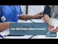 Can CBD Reduce Blood Pressure? - Dr. Jim Collins