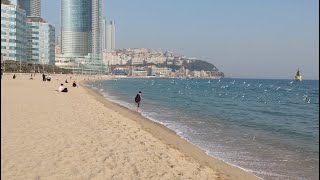 [4K] Autumn in Haeundae, Busan / 부산 해운대 / Walk in Korea