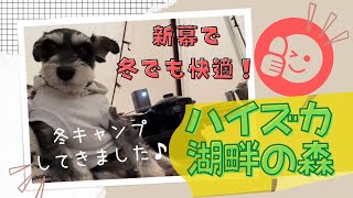 愛犬と冬キャンプ行ってきたよ！【2023年1月】新幕で快適♪1泊2日でゆったりまったりキャンプです。