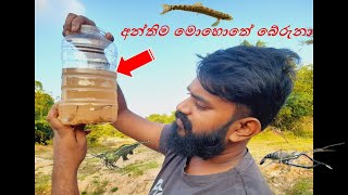 අන්තිම මොහොතේ බේරුනු මාලු / Fish Rescue/ පුංචි ඇල පාරක යාන්තමට පණ බේරන් හිටපු සත්තු මුදාගැනීම