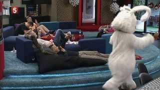 Rabbit fall (kanin faldet) Big Brother DK