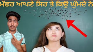 ਮੱਛਰ ਆਪਣੇ ਸਿਰ ਤੇ ਕਿਉ ਘੁੰਮਦੇ ਹਨ । Intresting facts about mosquito | ਹੈਰਾਨੀਜਨਕ ਗੱਲਾ