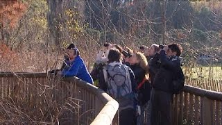 Prioriterre chemins de la biodiversité: Le site des sorties natures en PACA