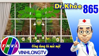 Dr. Khỏe - Tập 865: Công dụng lá mắc mật