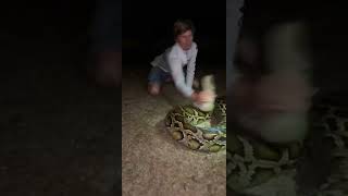 That’s a big ￼one #snake#youtubeshorts#florida#wildlife