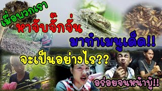 วิธีจับจั๊กจั่น,จับจั๊กจั่นทำเมนูเด็ด#บ่าวบ้านแฟมิลี่  Ep.45