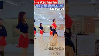 #라인댄스 #fiestachacha #linedance #토요강사동호회오전10-1시3시간 월2회 #강사인턴쉽 #라인댄스강사 #선릉역7번출구 010 8833 4921