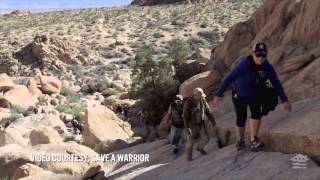 Veterans United Foundation Assists Save A Warrior