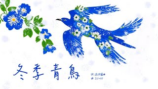 《冬季青鳥》五月雨還在綿延 青鳥再次展翅高飛#ai作曲 #suno #作詞