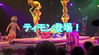 WDW Animal Kingdom Festival of the Lion King アニマルキングダム　フェスティバル・オブ・ザ・ライオンキング