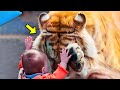 Tiger Keeps Bowing When He Sees This Girl, Then They Discover The Sad Reason!