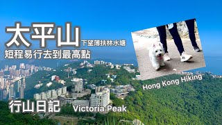 香港行山：2022-04-21 太平山頂，放寬社交距離第一天，去到最高的山頂。