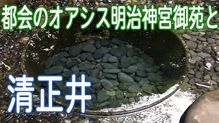 都会のオアシス明治神宮御苑と清正井（きよまさのいど）