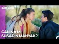 Minibollar Vlog #50: Fiko'ya Araba Çarpıyordu! - Bizim Hikaye