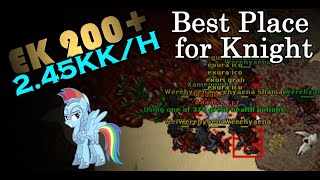 [EK 200+] Hunt KNIGHT Solo Werehyaena | 2.45kk/h | Fast Exp - Tibia