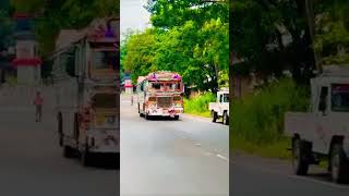 අලුතින් කරලියට බැහැපු එයාහ්😟#srilanka#automobile#bus#youtubeshorts#1millionviews#trending#sl#trend